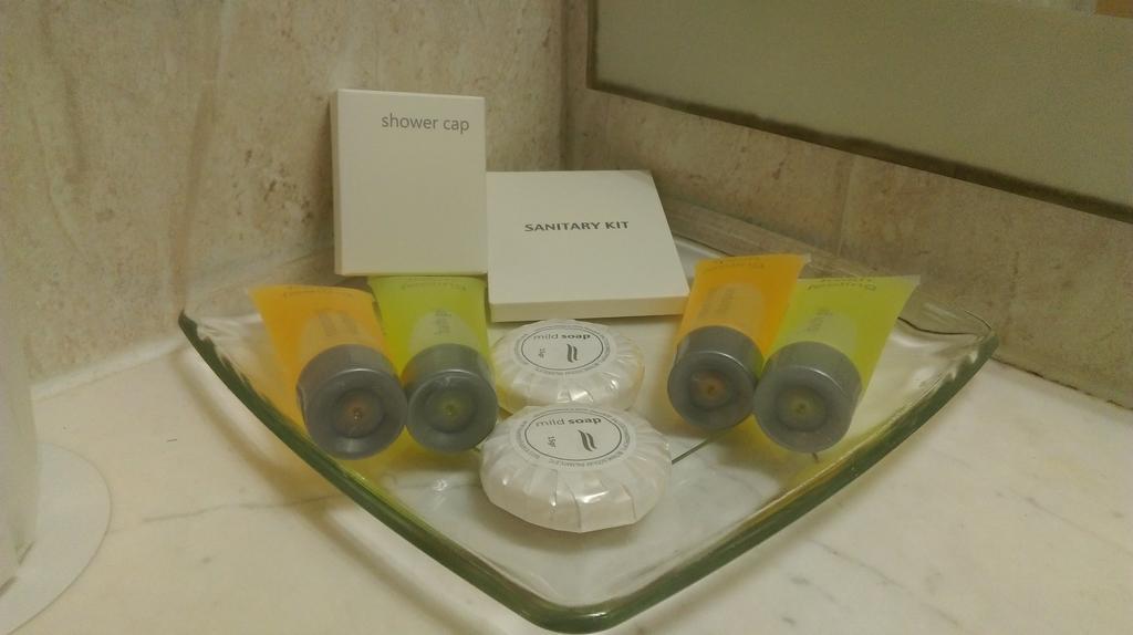 Europa Plaza Hotel ニコシア エクステリア 写真